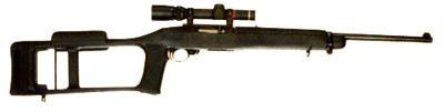 store/p/dragunov-style-stock