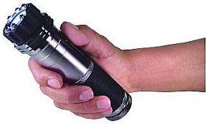 ZAP Light Stun Gun/Flashlight