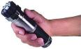 ZAP Light Stun Gun/Flashlight