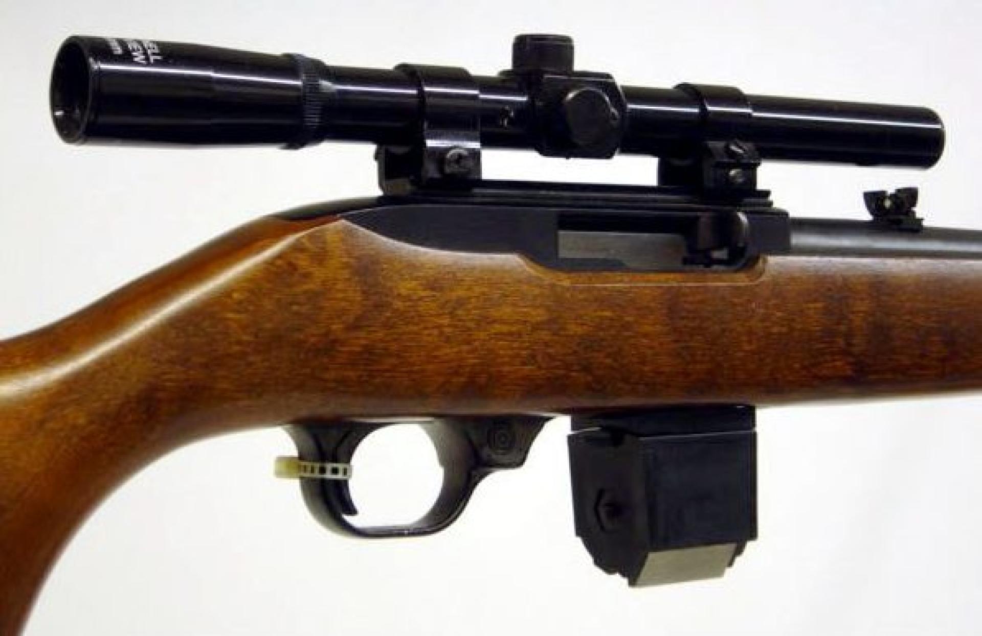 Ruger 10/22 Dual Mag Holder